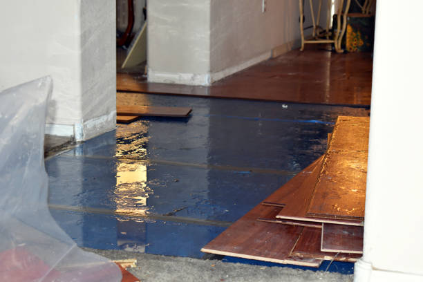 Professional Basement Flood Cleanup technician working in Westport, MA